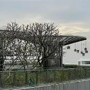 九州平台-洛杉磯銳航客場取勝，提振球隊信心(洛杉矶航空)