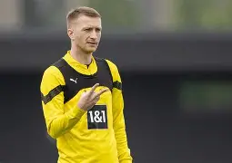 关于捷克新锐球员表现抢眼，帮助霍芬海姆获胜的信息