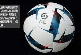 法国甲级联赛全新一轮比赛引发球迷热议，各支球队展现实力的简单介绍